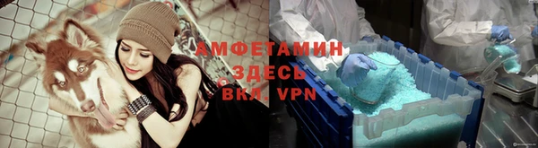 эйфоретик Аркадак