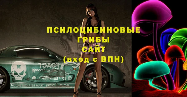 эйфоретик Аркадак