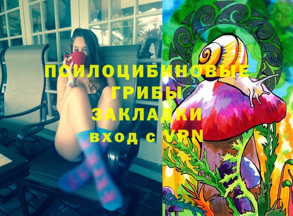эйфоретик Аркадак
