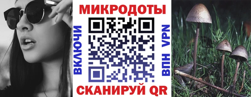 дарнет шоп  Ртищево  Псилоцибиновые грибы Cubensis 