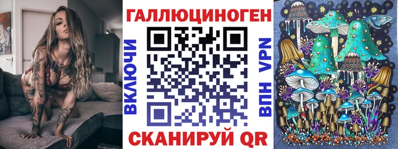 Псилоцибиновые грибы Cubensis Ртищево